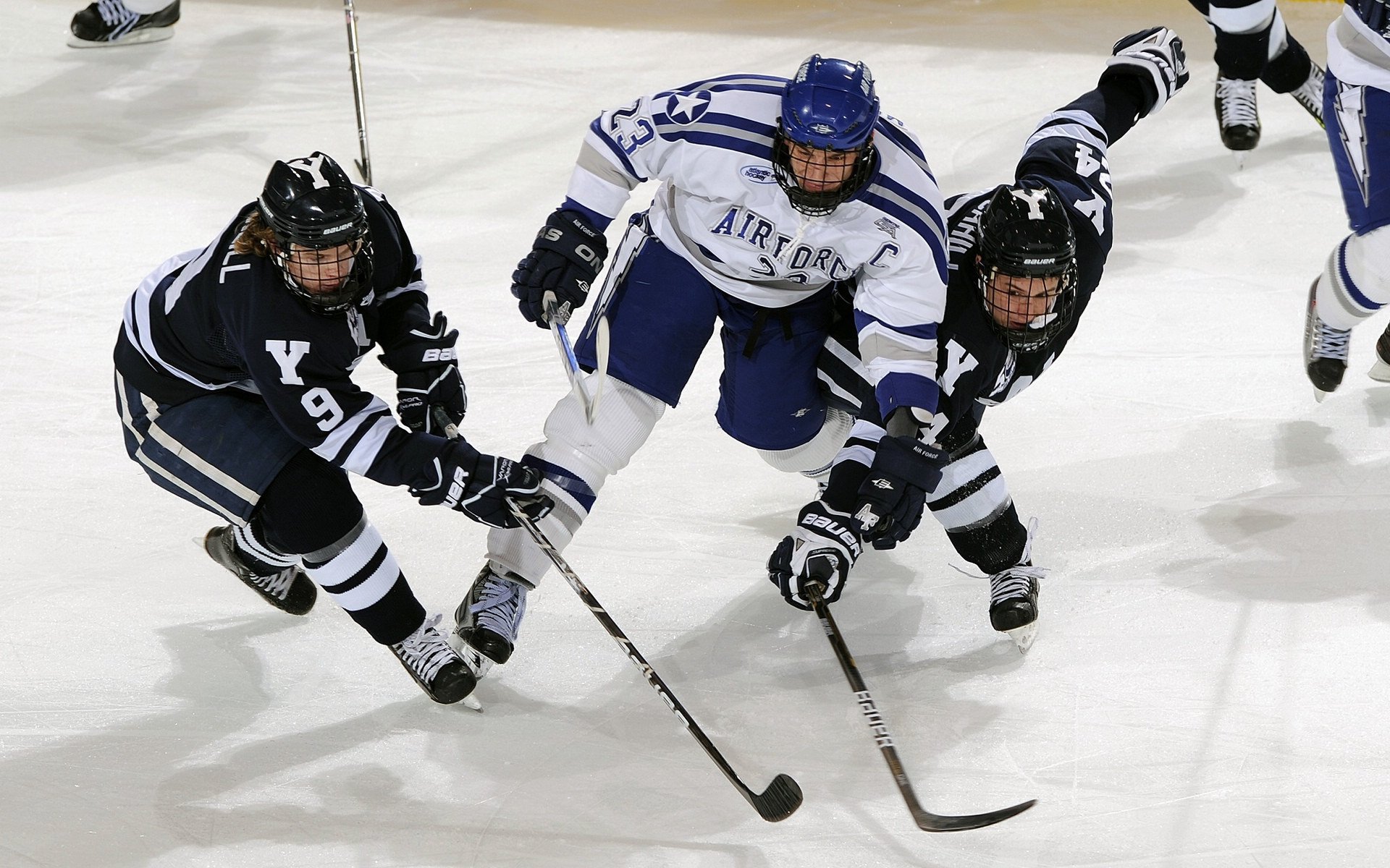 体育社会责任报告发布强调可持续发展,社会体育发展简况